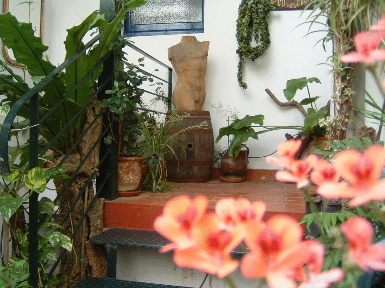 פלאמוס Hostal Residencia Catalina מראה חיצוני תמונה